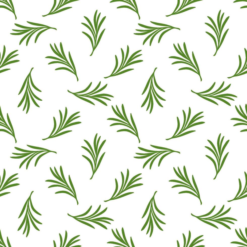 Seamless pattern with green rosemary branches, illustration vector