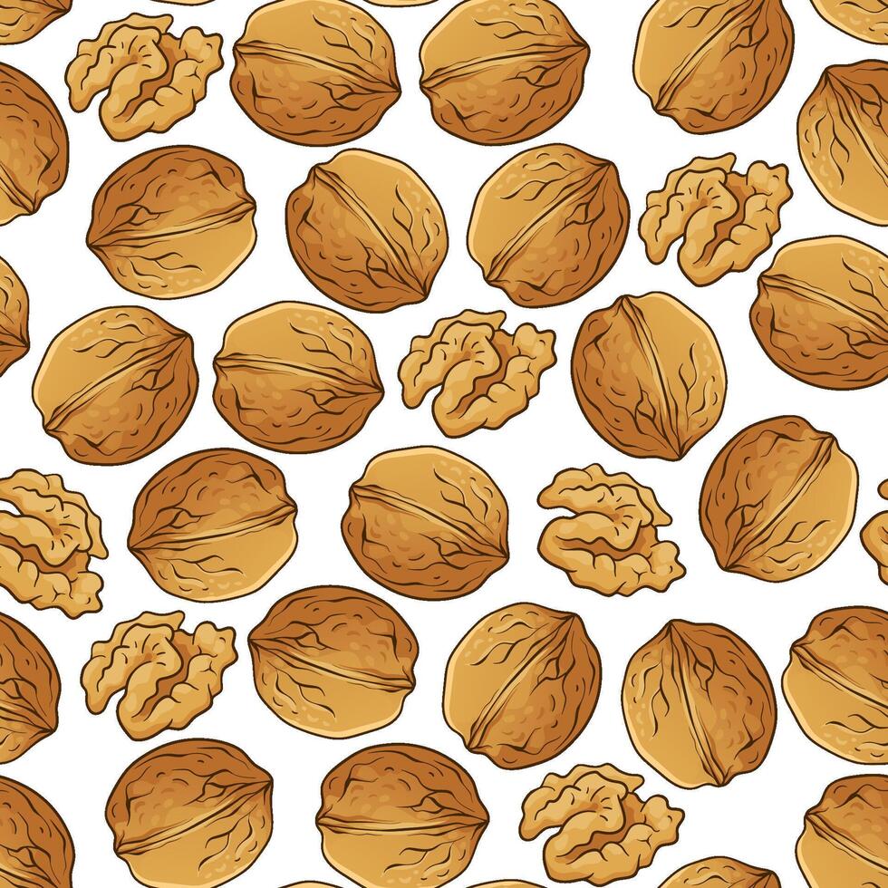 Seamless pattern with walnut, hand-drawn illustration vector