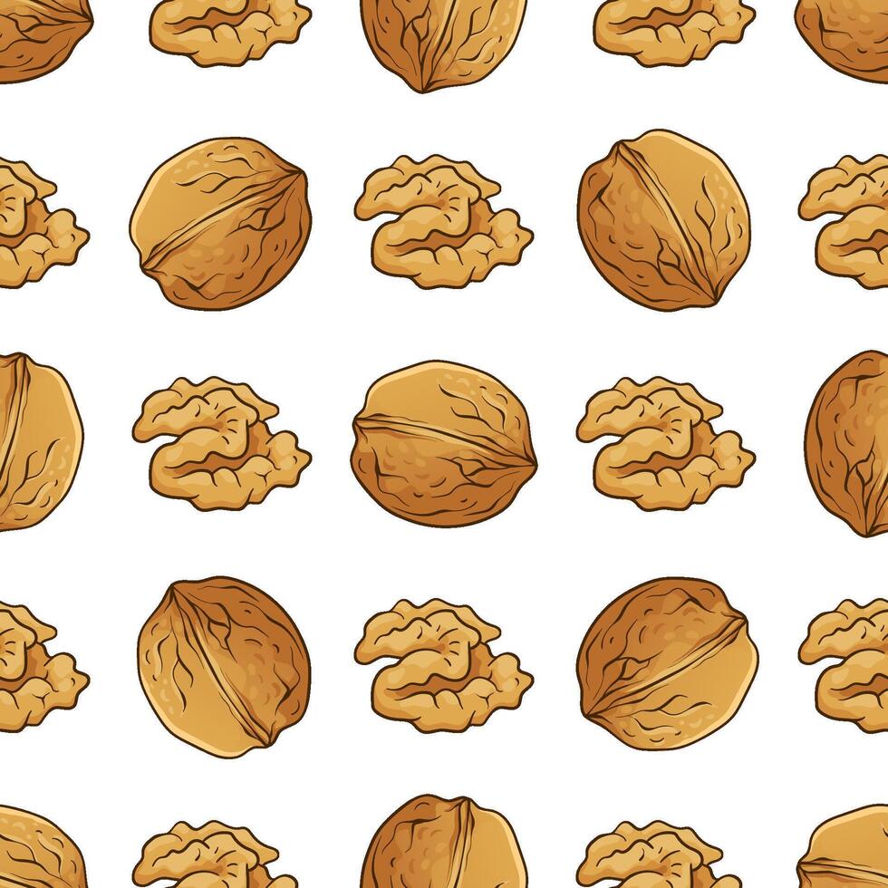 Seamless pattern with walnut on white background, hand-drawn illustration vector
