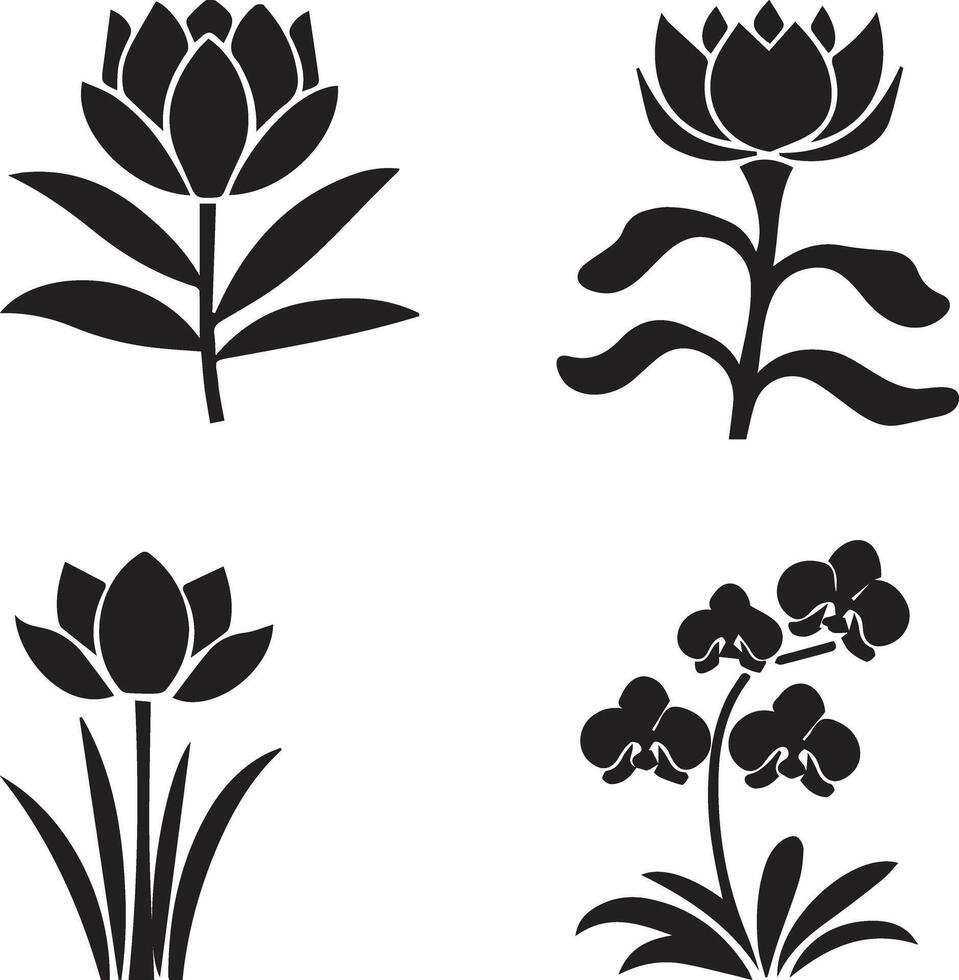 Black and white illustration of Cambodian floral set vector