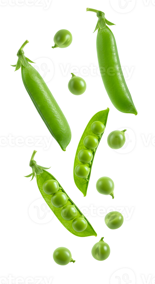 fresh green peas set . Pea pods and peas falling down . peas vegetable isolated. organic and fresh peas flying . vegan vegetarian pea pods isolated png