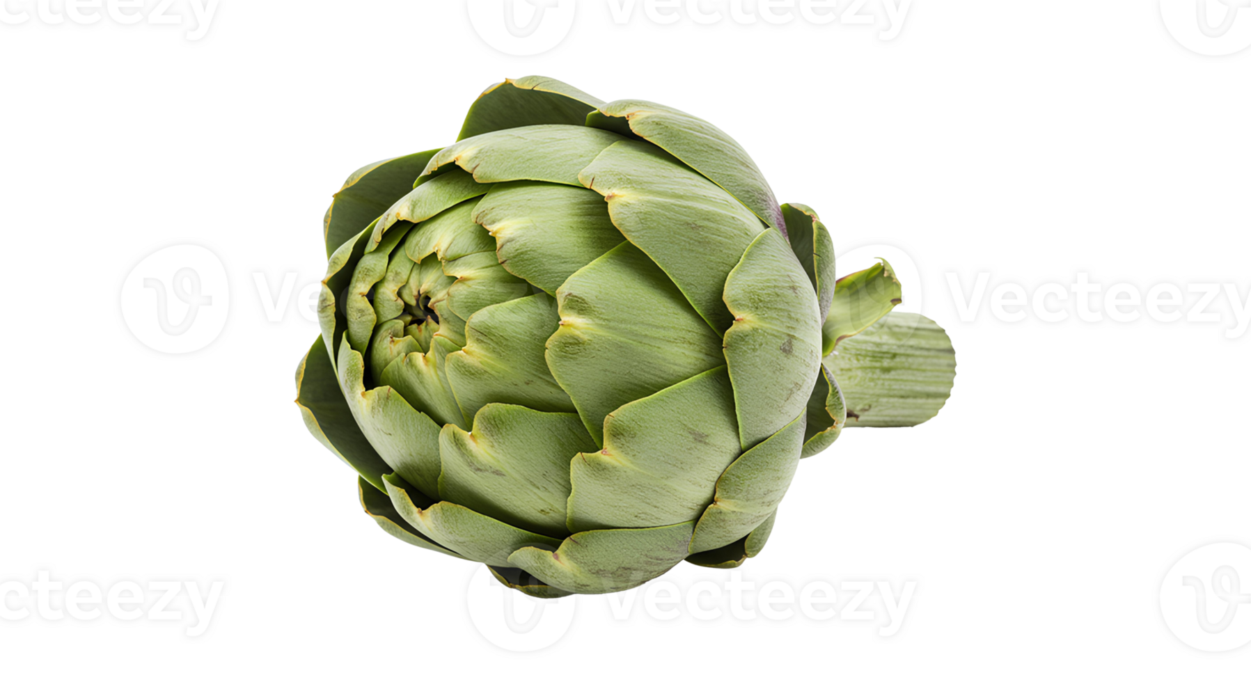 vibrant, leafy artichoke full of nutrients, perfect for vegan, vegetarian, organic, and healthy food themes png