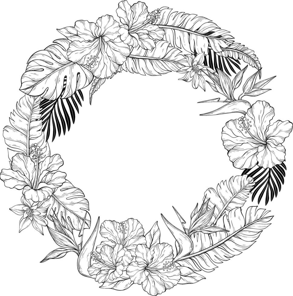 A Line art floral illustration featuring a circular wreath composed of hibiscus flowers, bird of paradise flowers with lush Monster and bananas leaves on white background vector