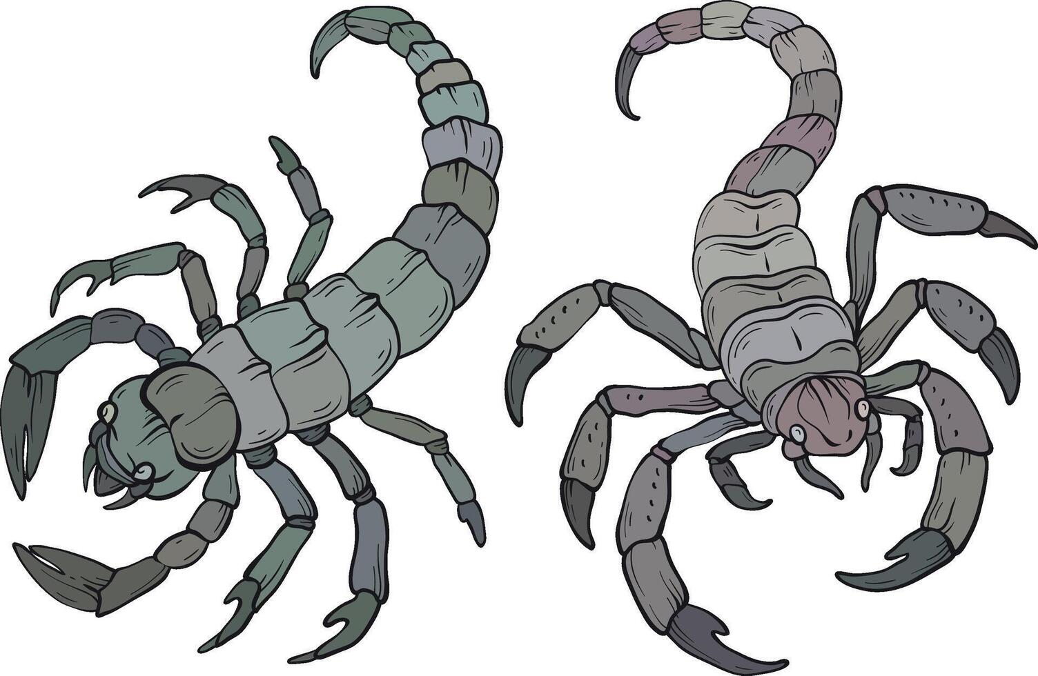 scorpion silhouette isolated on white, of various types of scorpion. vector