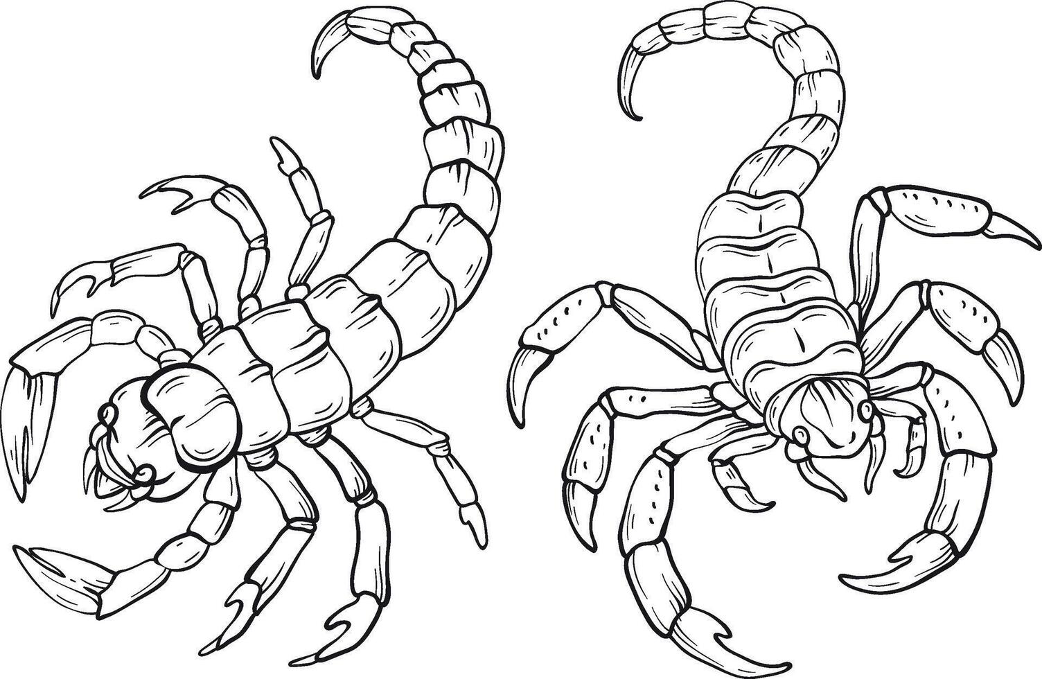 Line art scorpion isolated on white, various types of scorpion. vector
