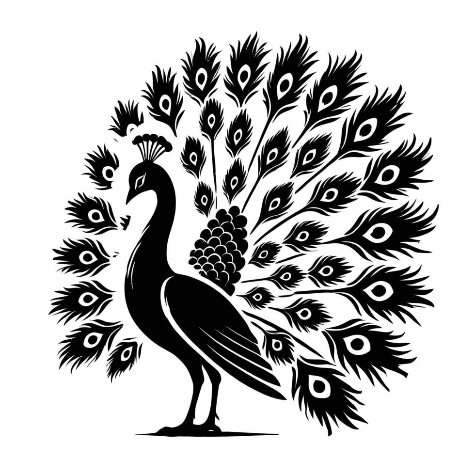 A black and white silhouette of a peacock vector
