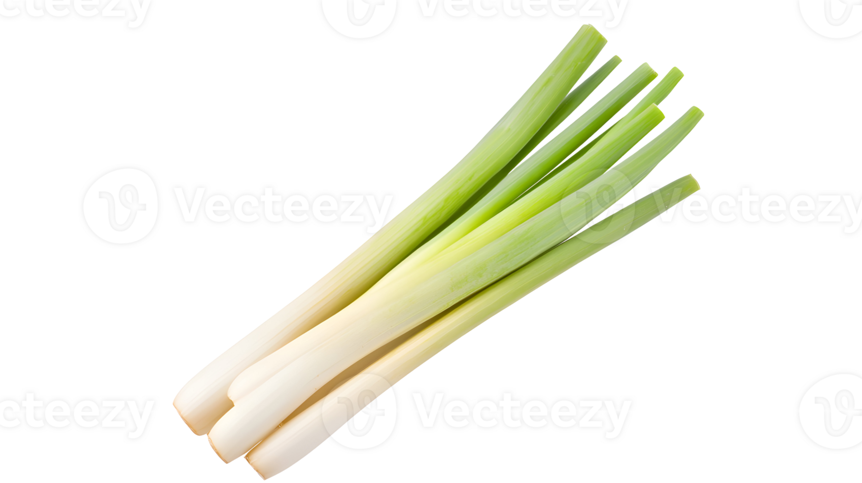 Fresh leeks, ideal for culinary creativity and healthy meals, isolated on a transparent backdrop png