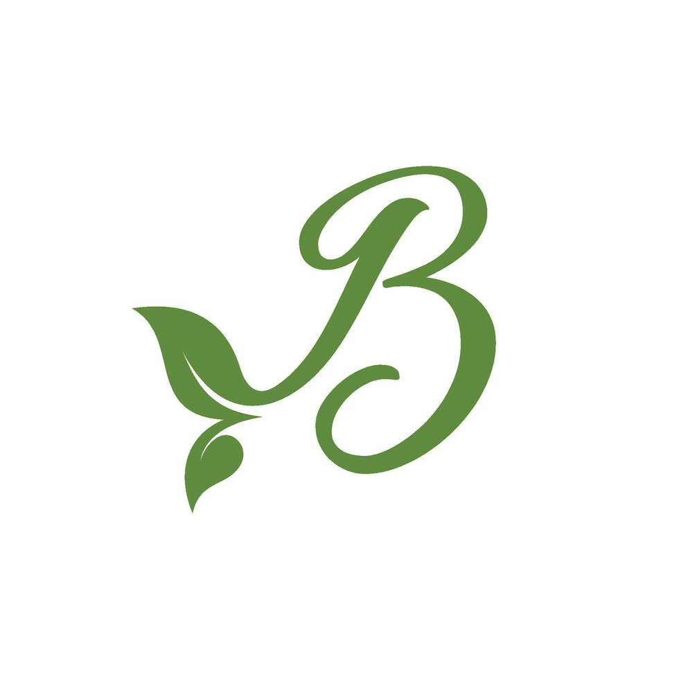 Letter B Logo With ornament Leaf. vector
