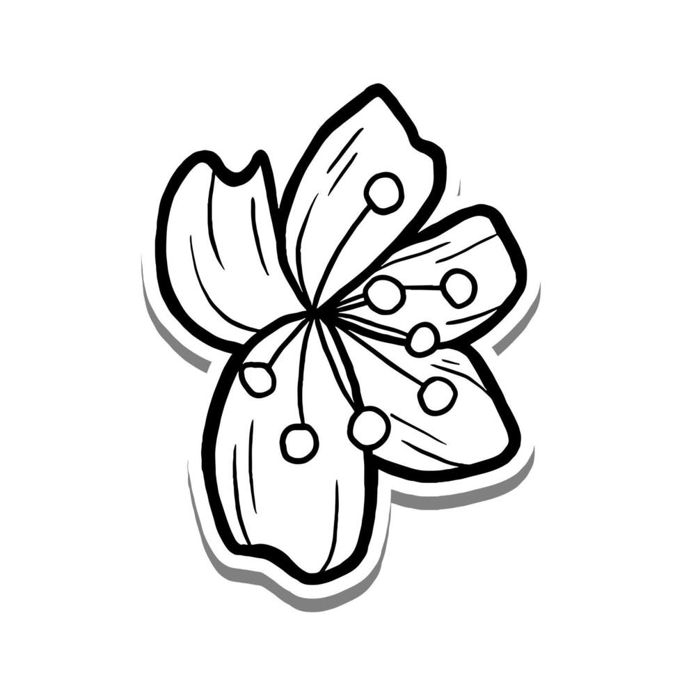 Single Sakura Outline Blooming on white silhouette and gray shadow. Hand drawn cartoon style. illustration for decorate, coloring and any design. vector