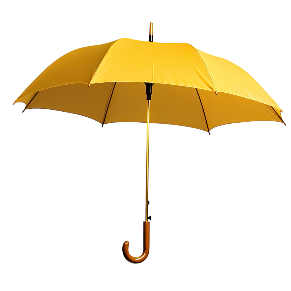 an umbrella on a transparent background png