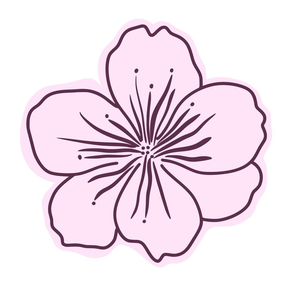 Cherry flower blossom, Spring Haze. Spring almond, sakura, branch, hand draw doodle line art illustration. colored black art, isolated on white background. Realistic floral bloom sketch. vector