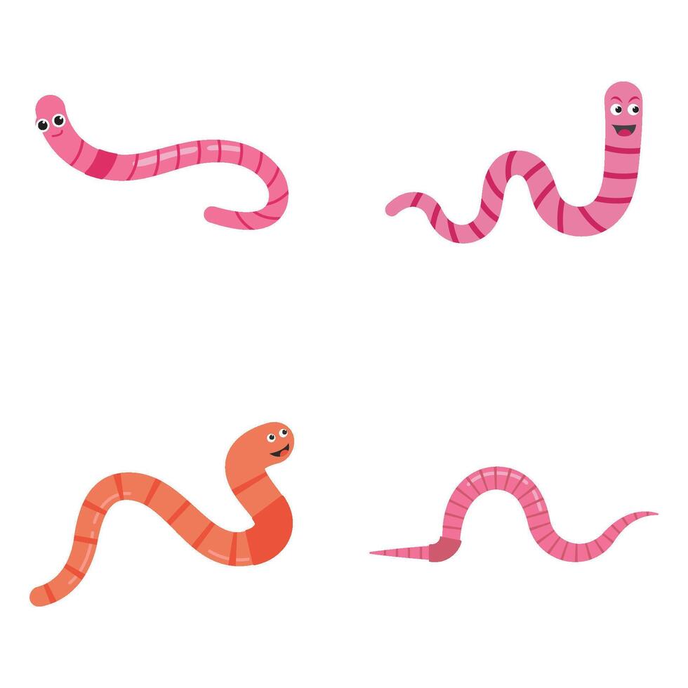 set Worm illustration logo design vector