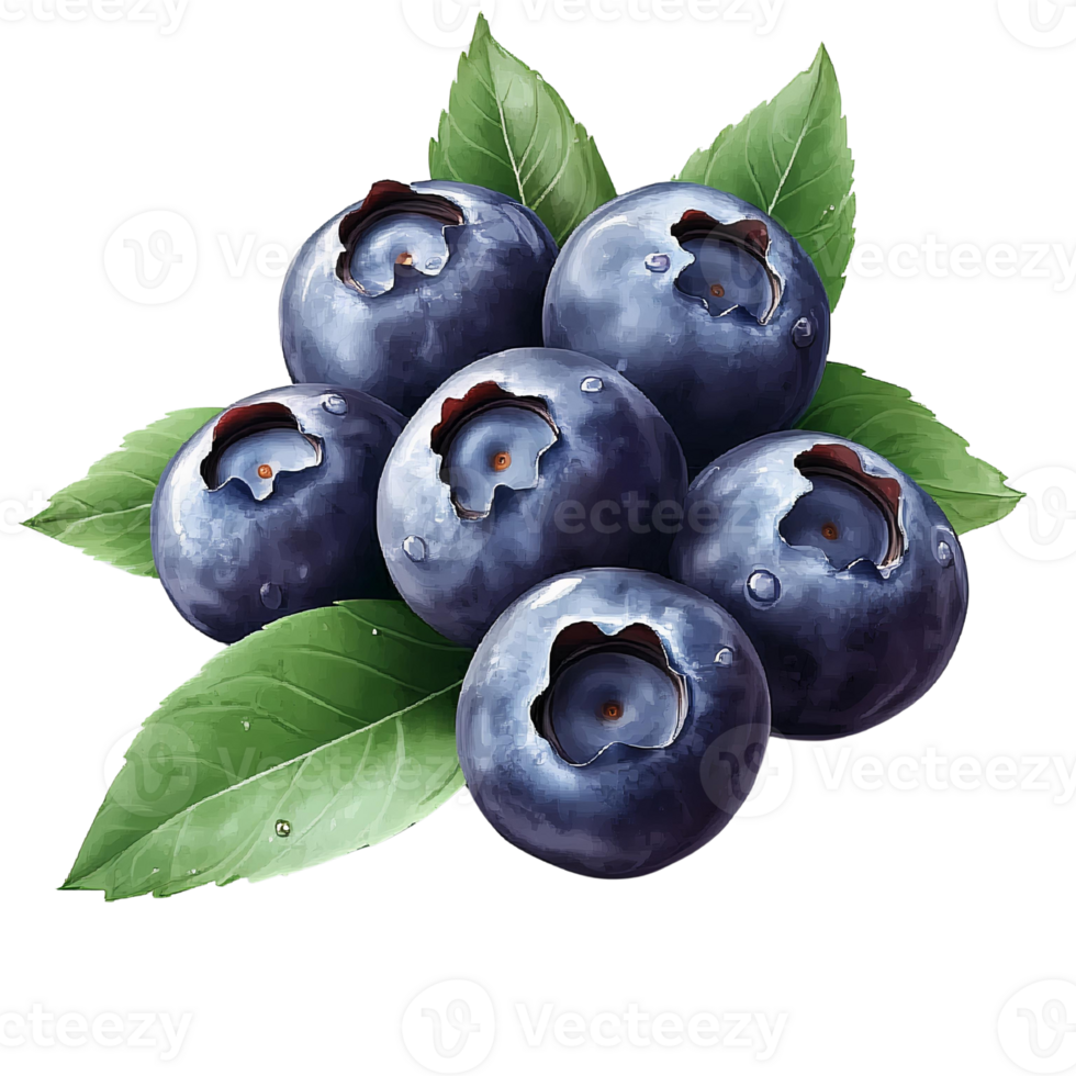 Tasty Blueberries with Fresh Leaves on Transparent Background png