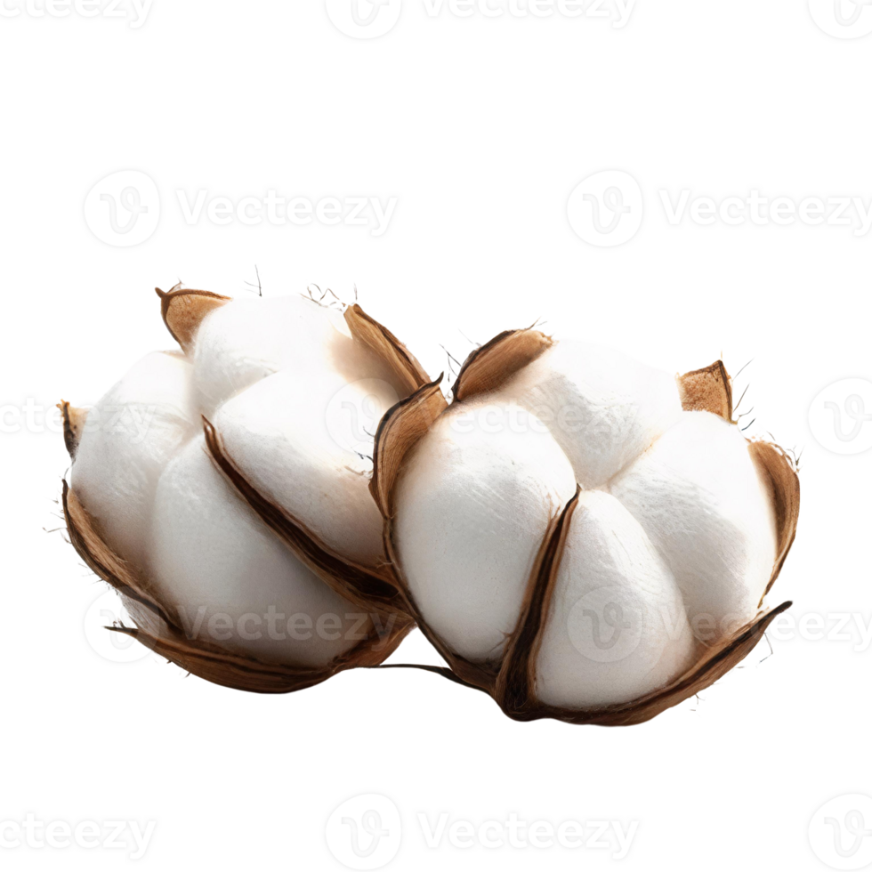 White Cotton Balls Cluster on Transparent Background png