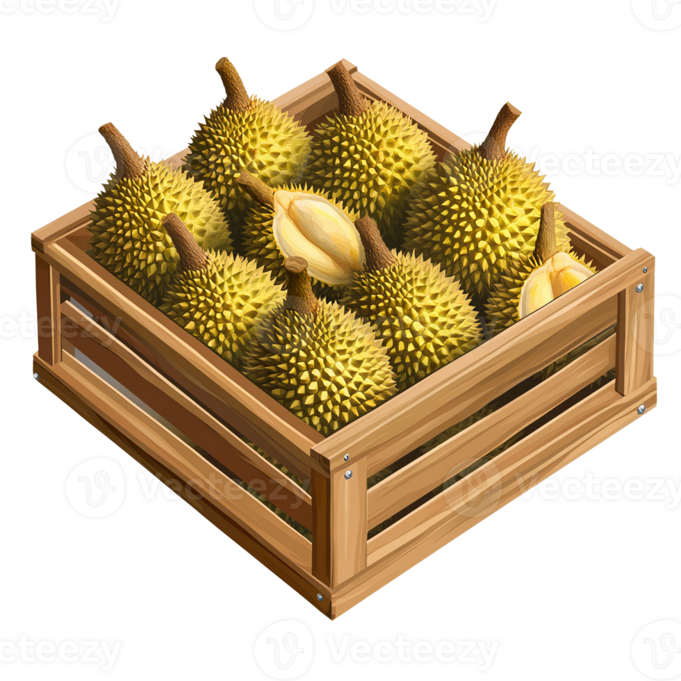 Durian fruits in wooden crate illustration on transparent background png