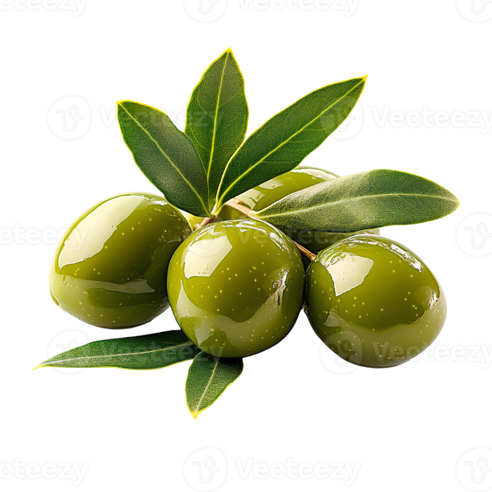 Green Olives and Branch Leaves on Transparent Background png