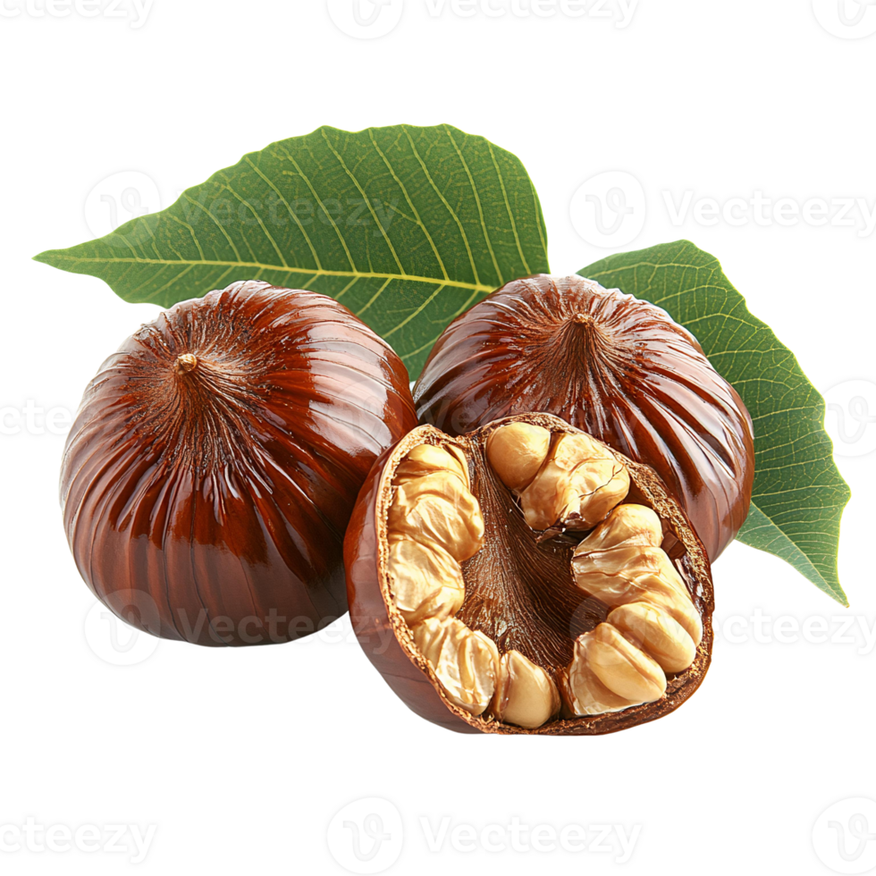 Shiny brown chestnuts with open nut on transparent background png