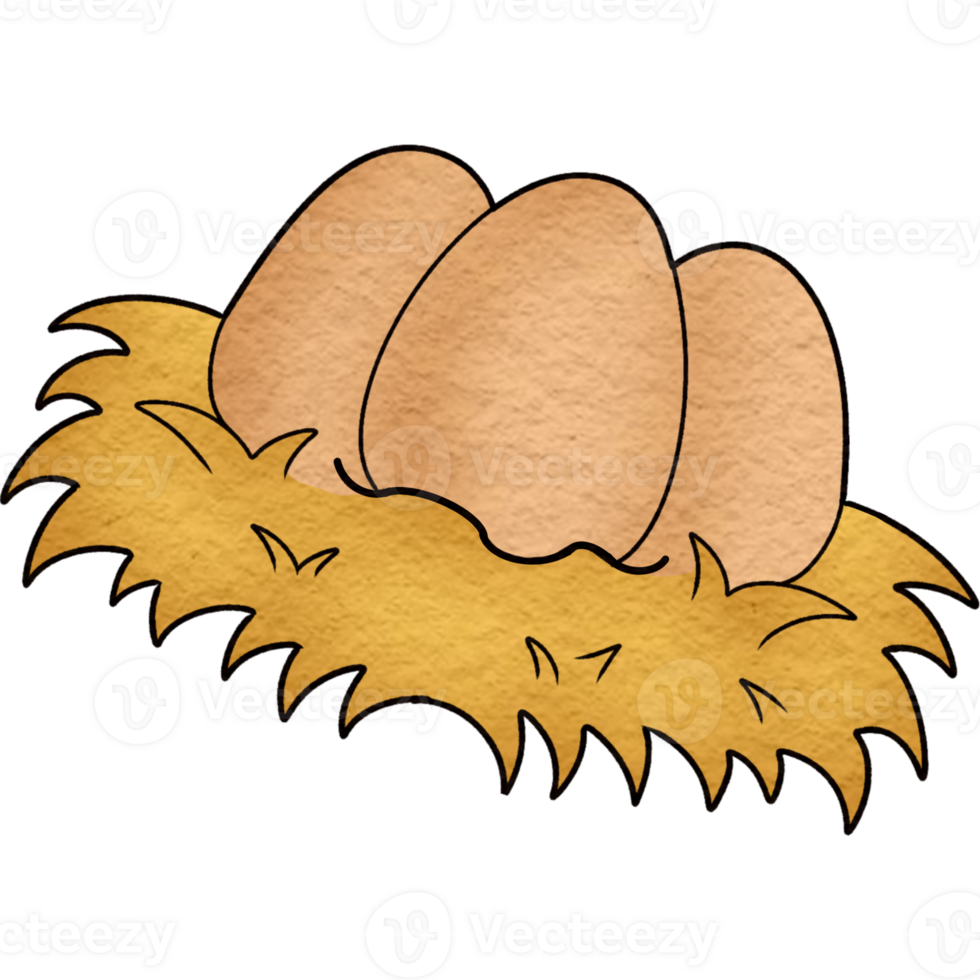 eggs in a nest png
