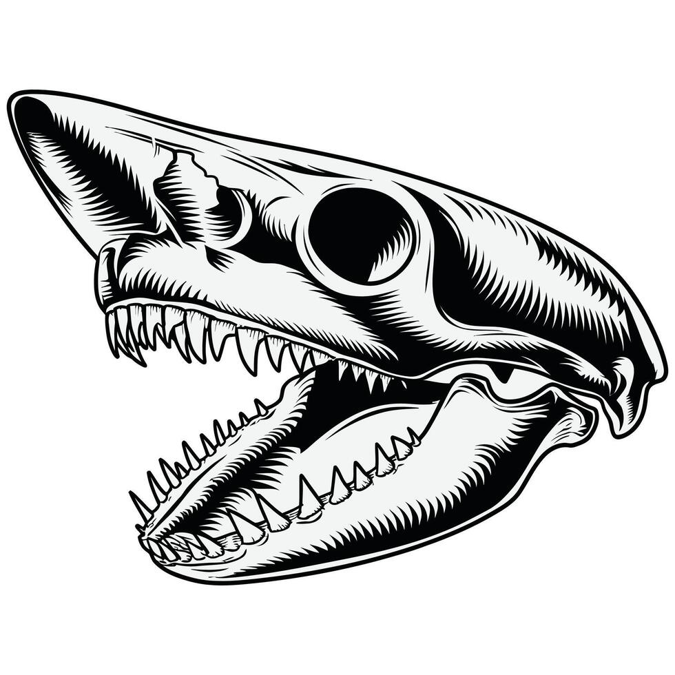 A shark skull with its mouth open vector