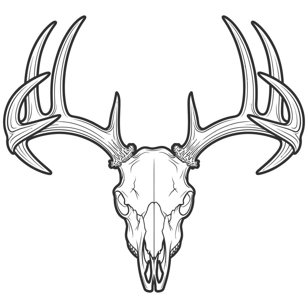 A deer skull with horns and antlers vector