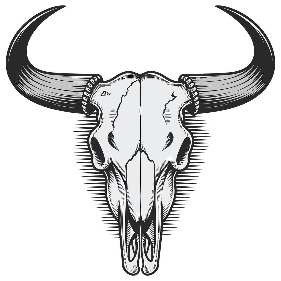 Bull skull with horns and long horns on a white background vector