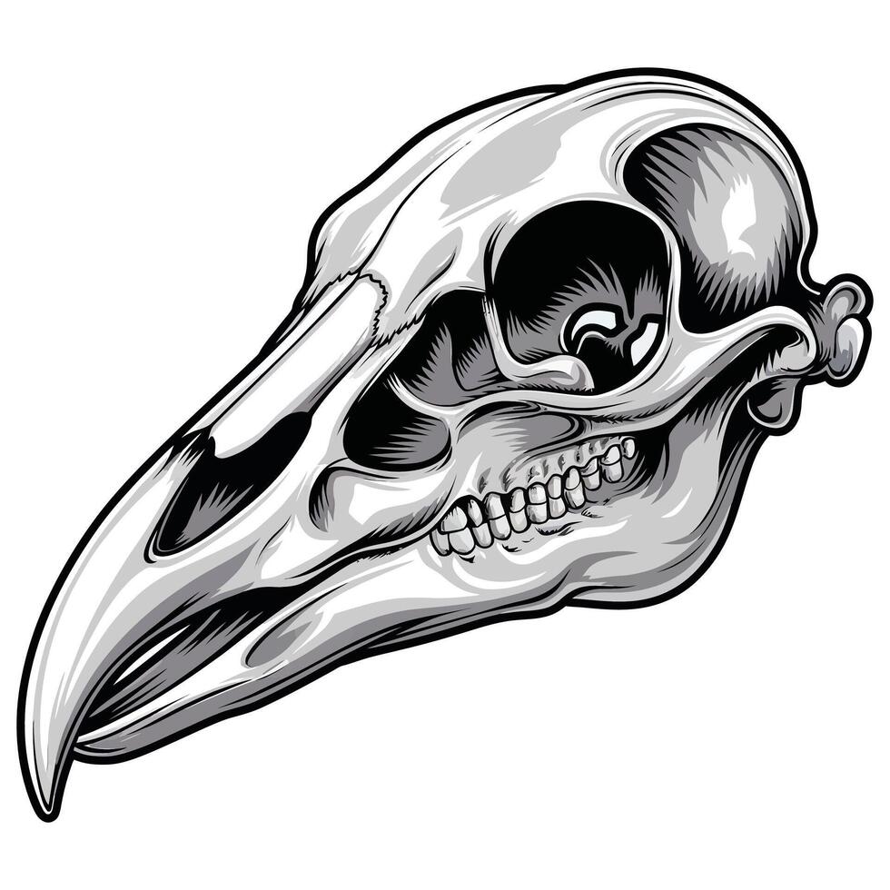 Black Silhouette of a Bird Skull. vector