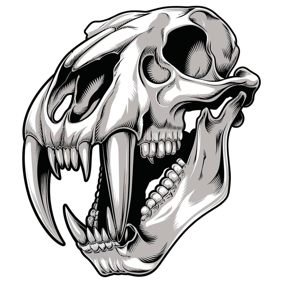 A skull with fangs and teeth on a white background vector