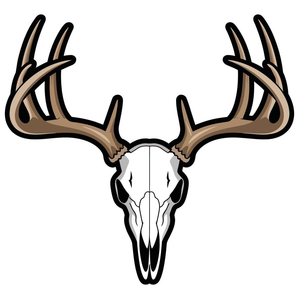 A deer skull with antlers on a white background vector