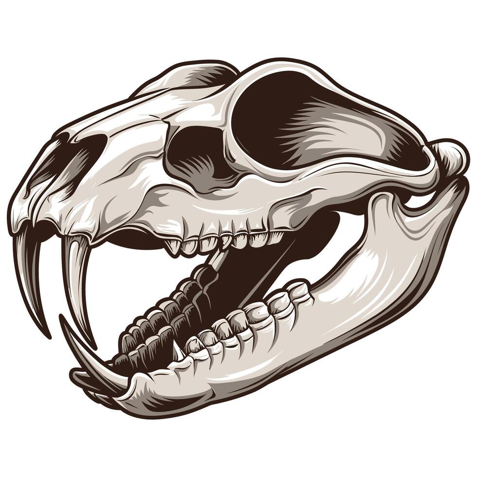 A skull with fangs and teeth on a white background vector