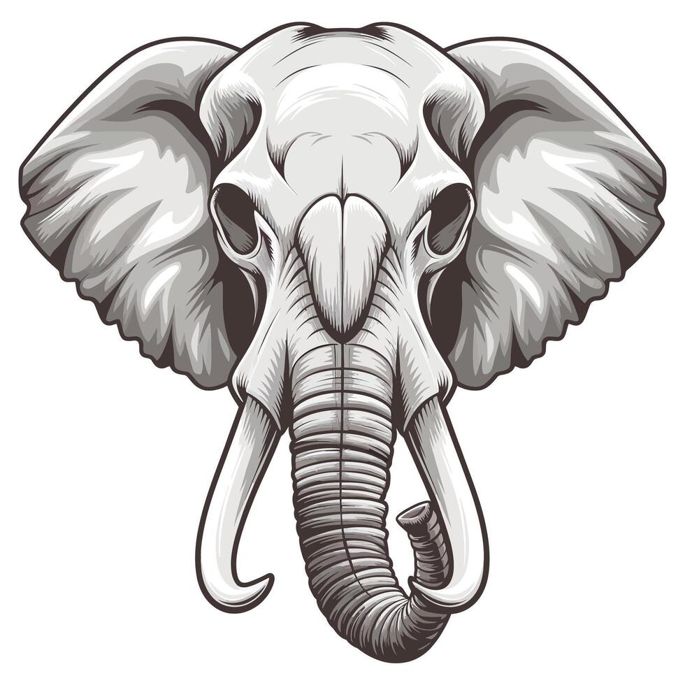An elephant head with tusks on a white background vector
