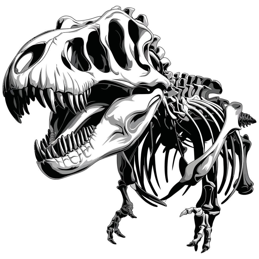 A dinosaur skeleton is shown in this drawing vector