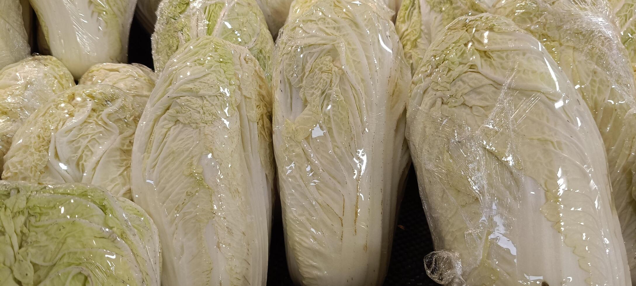 View of white mustard greens that have been wrapped photo