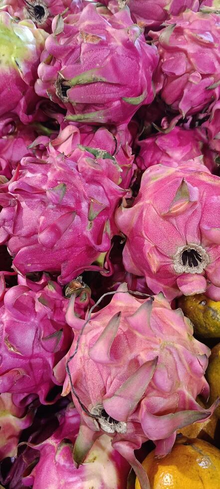 View of some dragon fruits in display photo