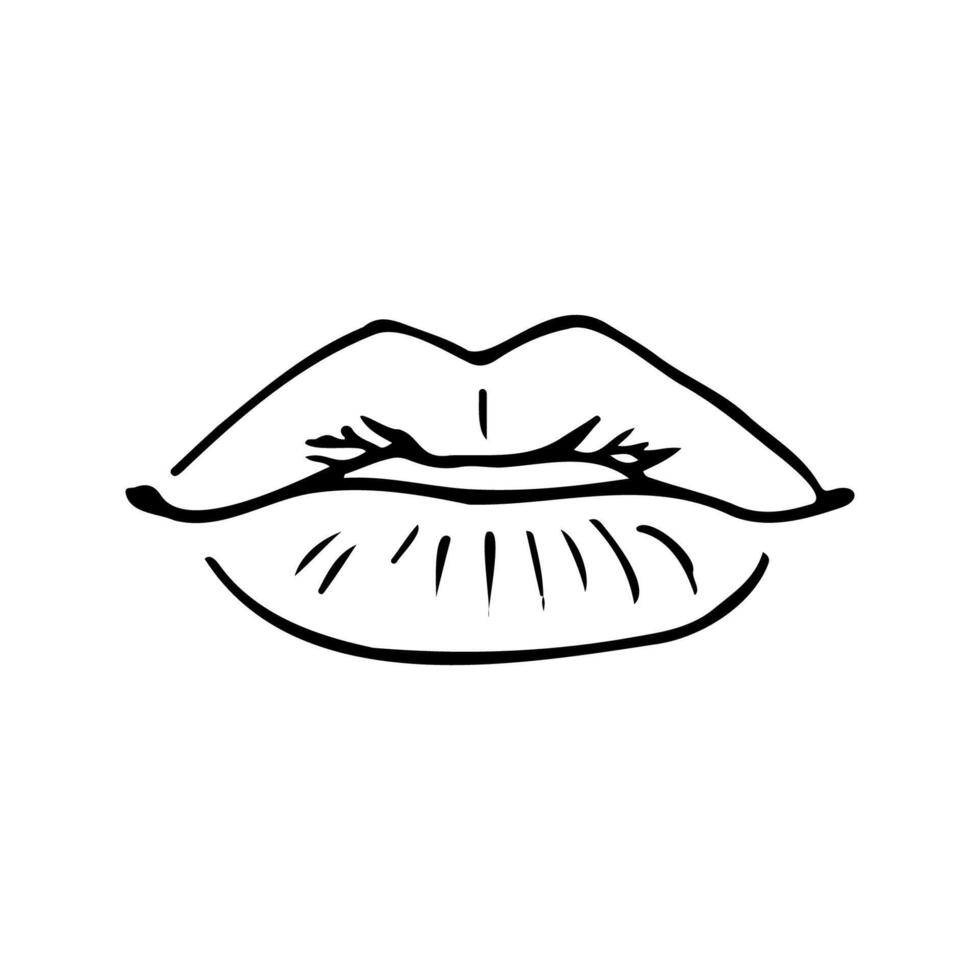 close up of lips full face with folds - hand drawn line art vector