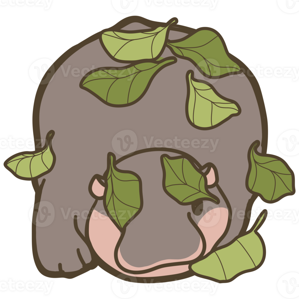 cute pygmy hippo png