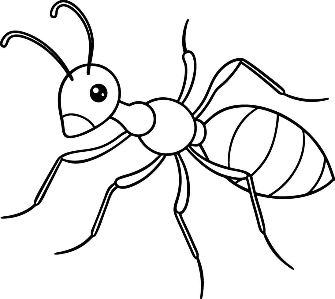 Coloring page line art illustration Ant vector