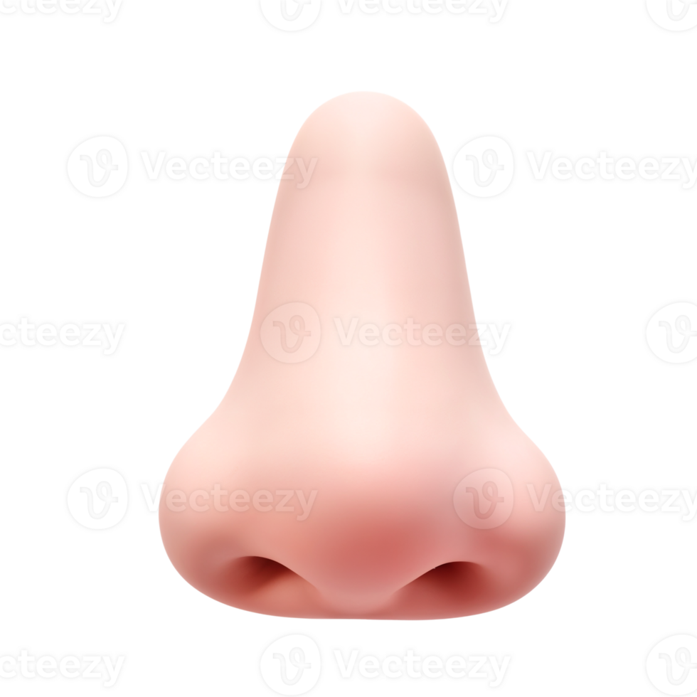 Realistic 3D Nose Model for Creative Design and Illustration png