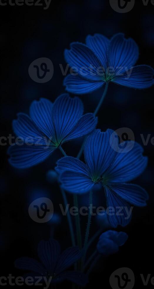 Stunning Blue Flower Phone Wallpaper Perfect for Digital Devices and Backgrounds photo