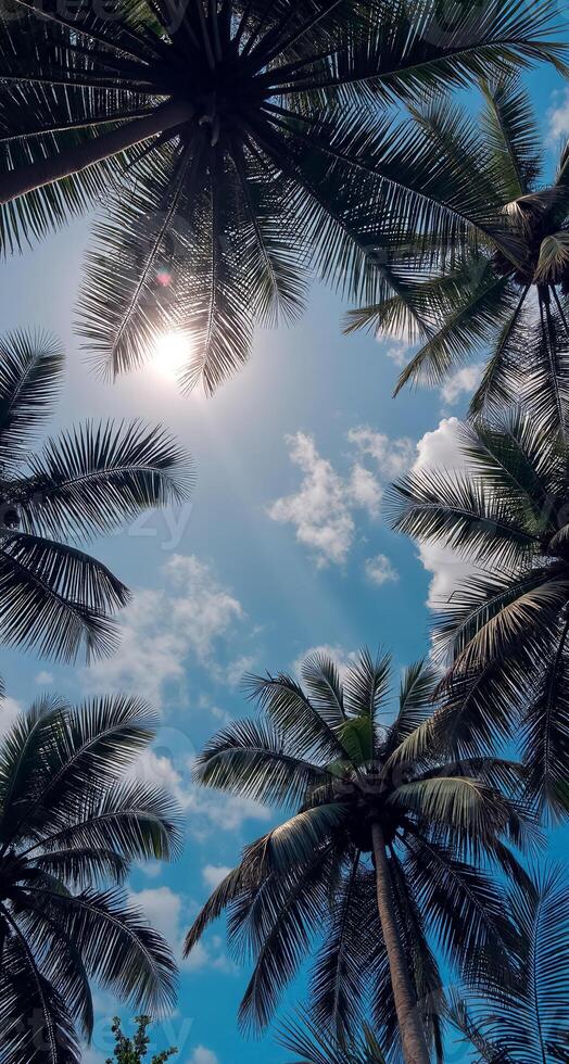 Stunning Tropical Palm Tree View with Bright Sunlight for Phone Wallpaper photo