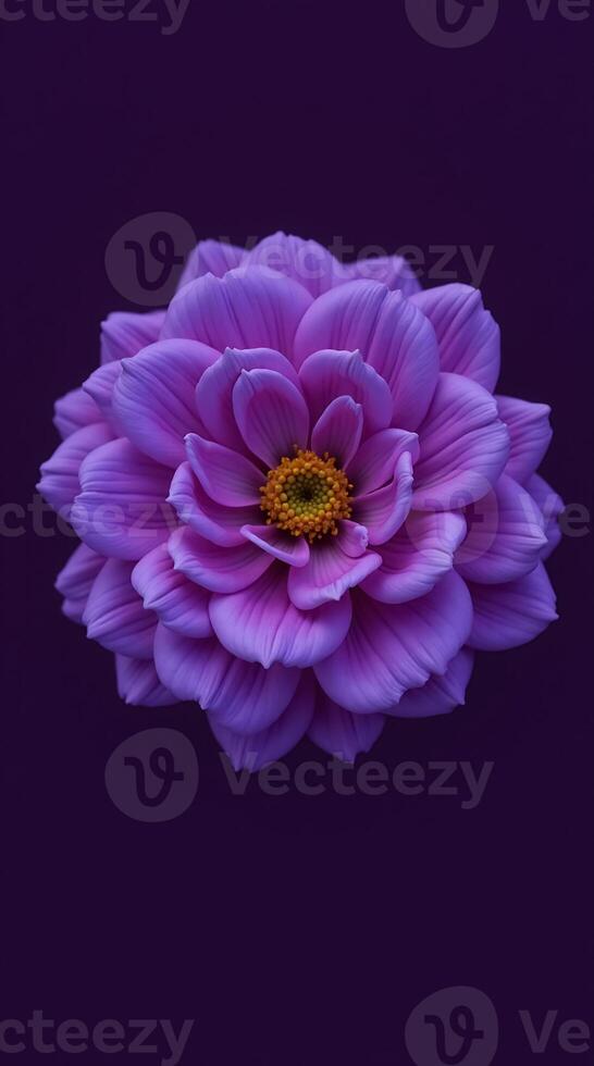 Stunning Purple Flower Phone Wallpaper for Elegant and Charming Screen Designs photo