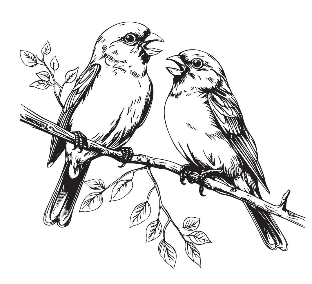 Black and white sketch of a canary bird singing on a branch illustration vector