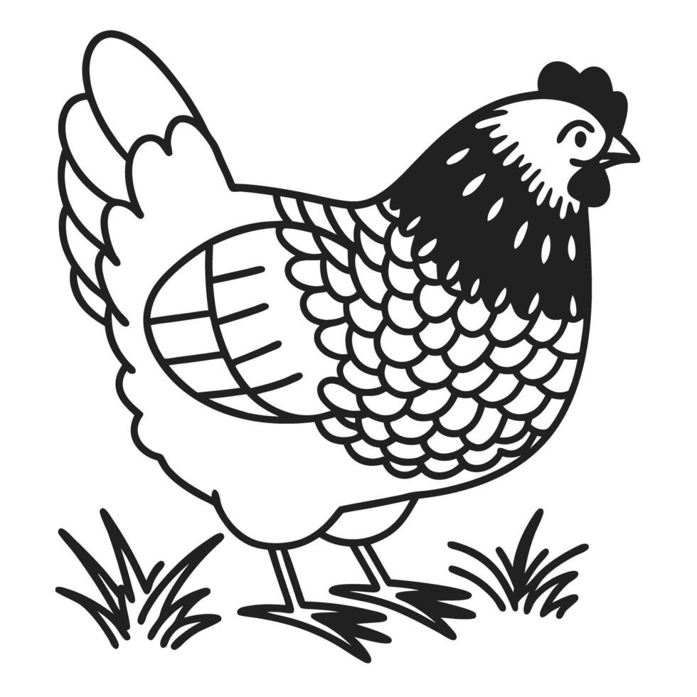 illustrated hen in black and white with detailed feather pattern standing in grass vector