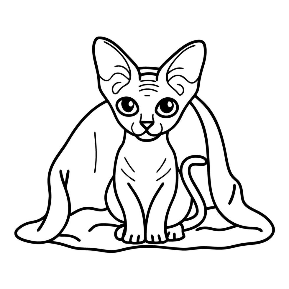cute sphynx cat sitting under blanket, line art illustration for coloring vector