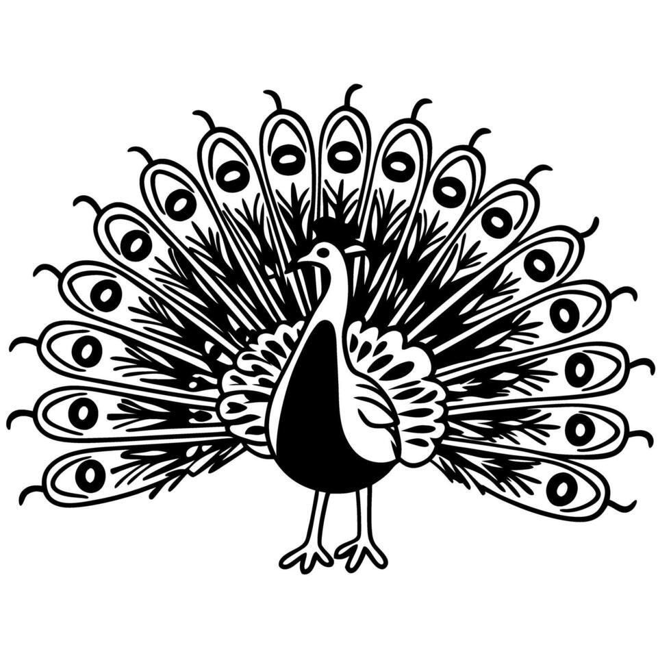 Illustration of a peacock with detailed plumage in black and white vector