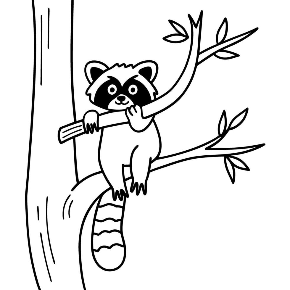 raccoon on a tree branch cute animal, simple black and white line illustration, playful wildlife concept vector