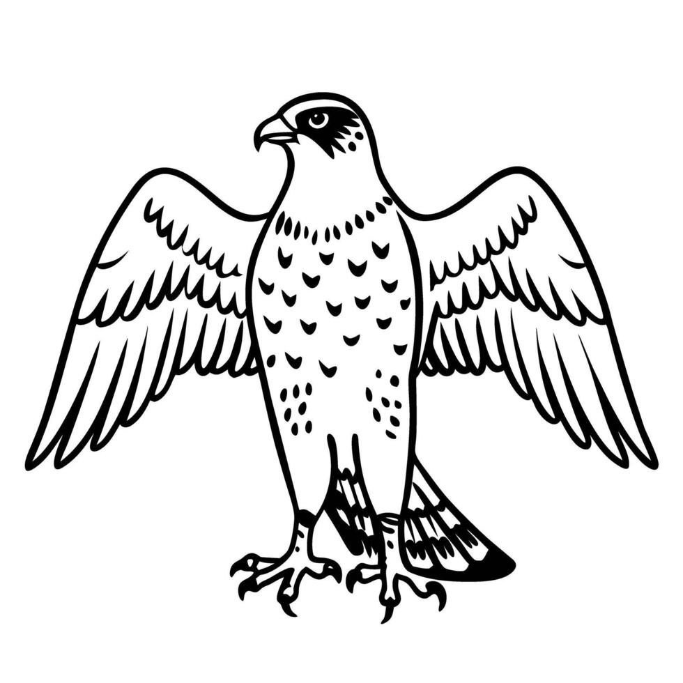 Falcon with spread wings in black and white design, elegant and detailed bird illustration vector