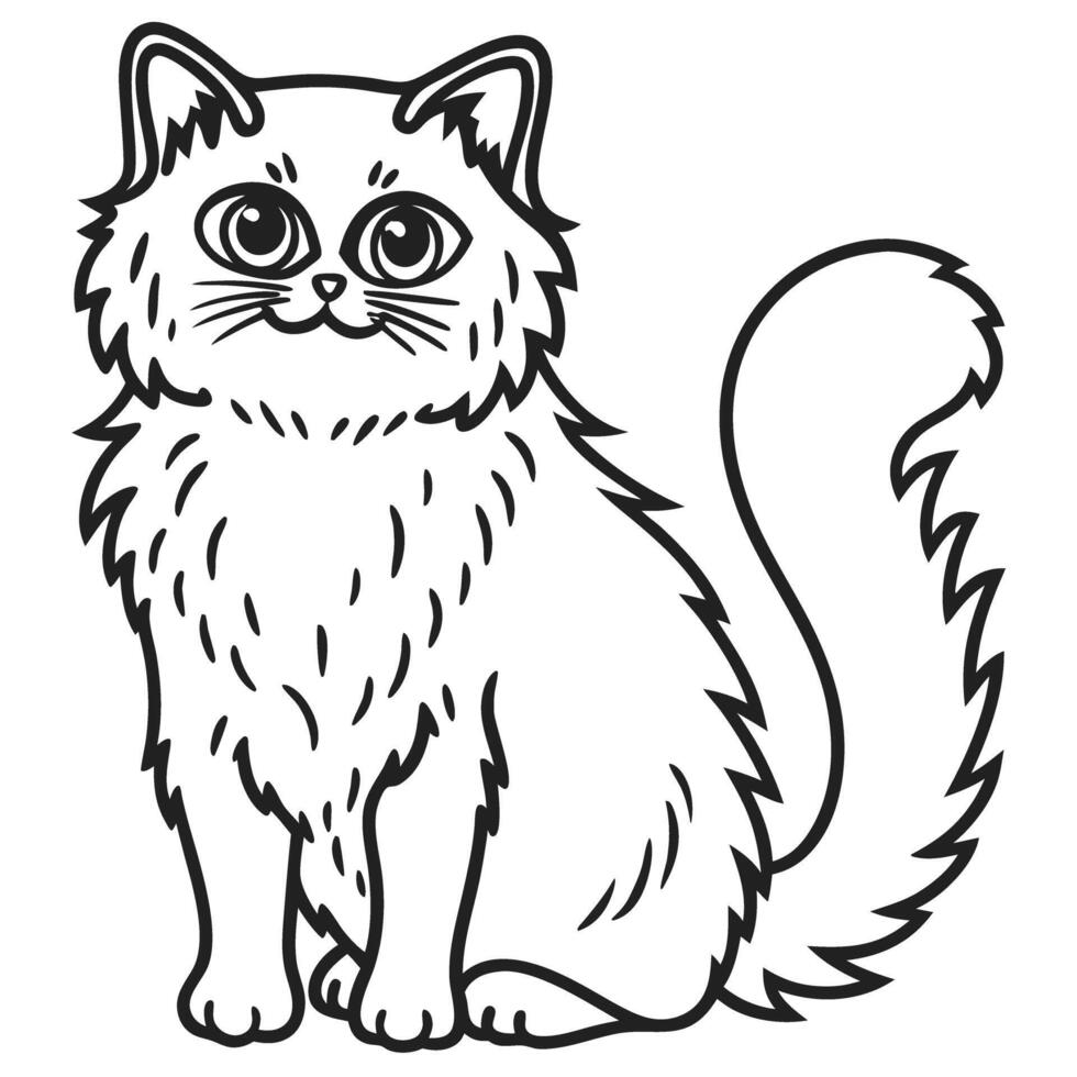 Fluffy persian cat line art cute kitten illustration for coloring or design adorable pet drawing vector