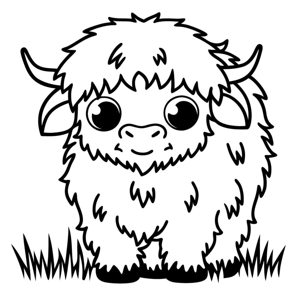 Cute highland cow calf grazing on grass, adorable fluffy animal illustration vector