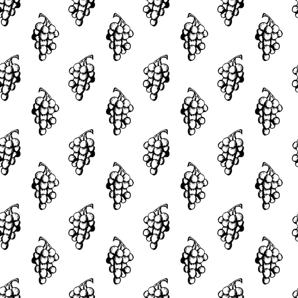 Grapes in doodle style. Simple seamless pattern. vector