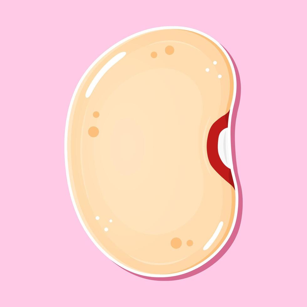 Bean Illustration Fresh and Healthy Legume vector